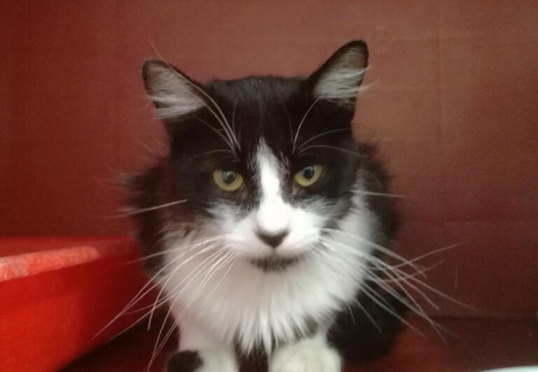 multimedia-foto64932-26-1