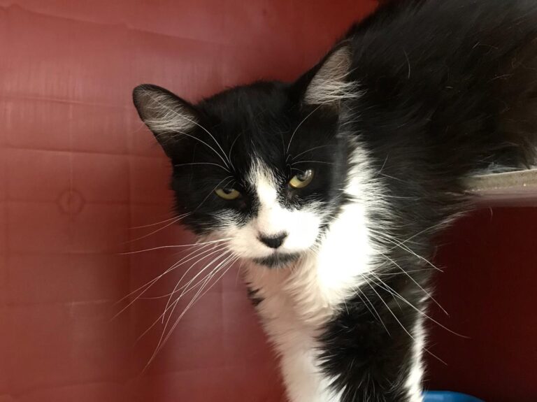 multimedia-foto64933-26-1