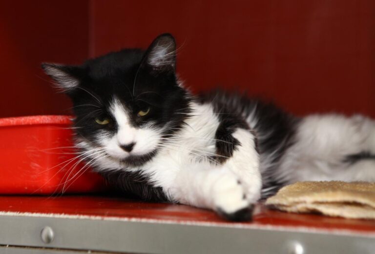 multimedia-foto64934-27-1