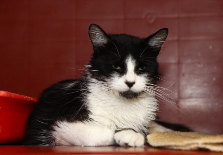 multimedia-foto64935-27-1