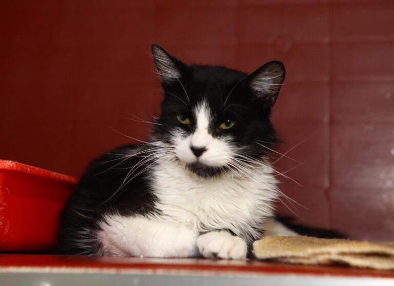 multimedia-foto64936-28-1