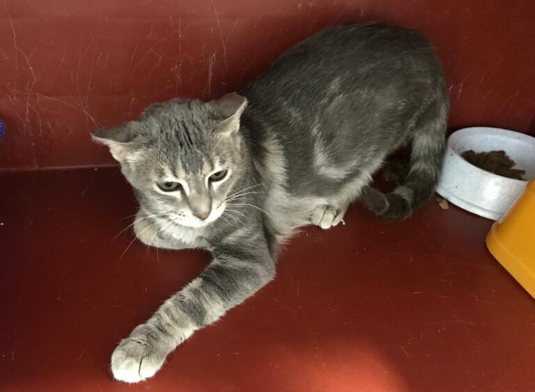 multimedia-foto64946-83-1