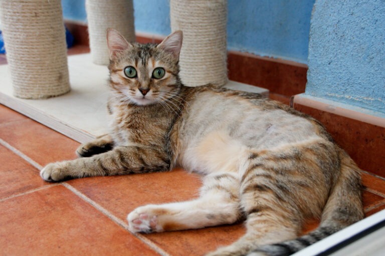 multimedia-foto64951-216-1