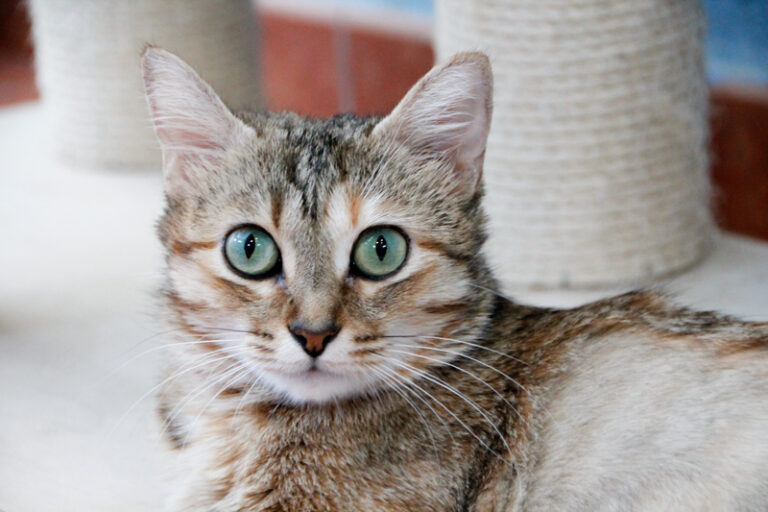 multimedia-foto64952-216-1