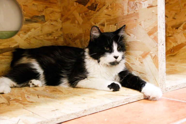 multimedia-foto64953-266-1