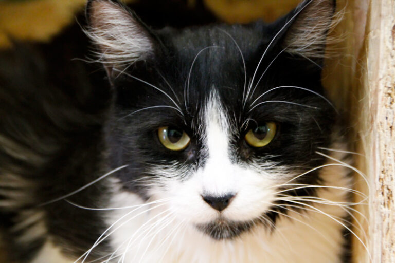 multimedia-foto64954-266-1