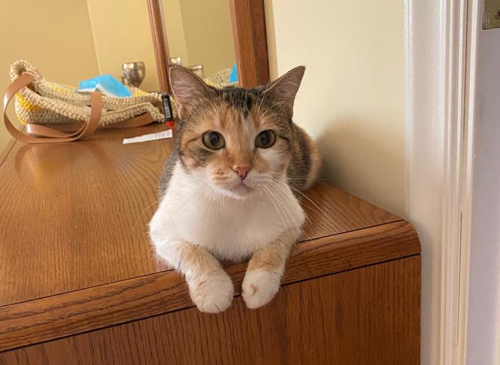 multimedia-foto64956-300-1