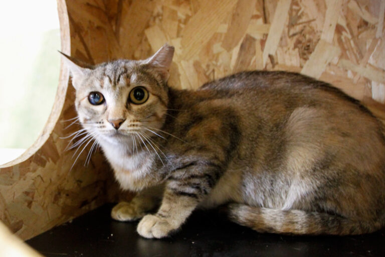 multimedia-foto64957-347-1