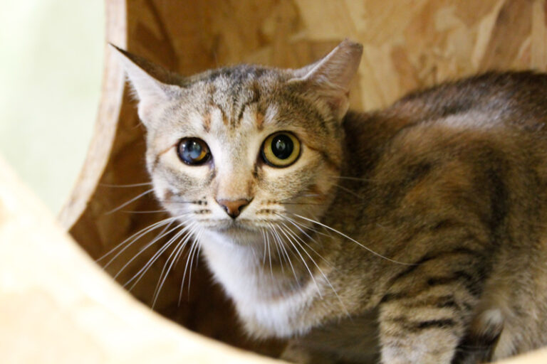 multimedia-foto64959-348-1