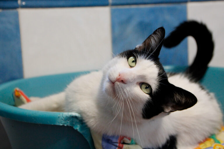 multimedia-foto64966-920-1