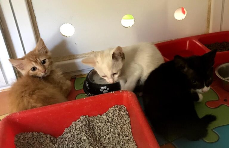 multimedia-foto64986-348-1