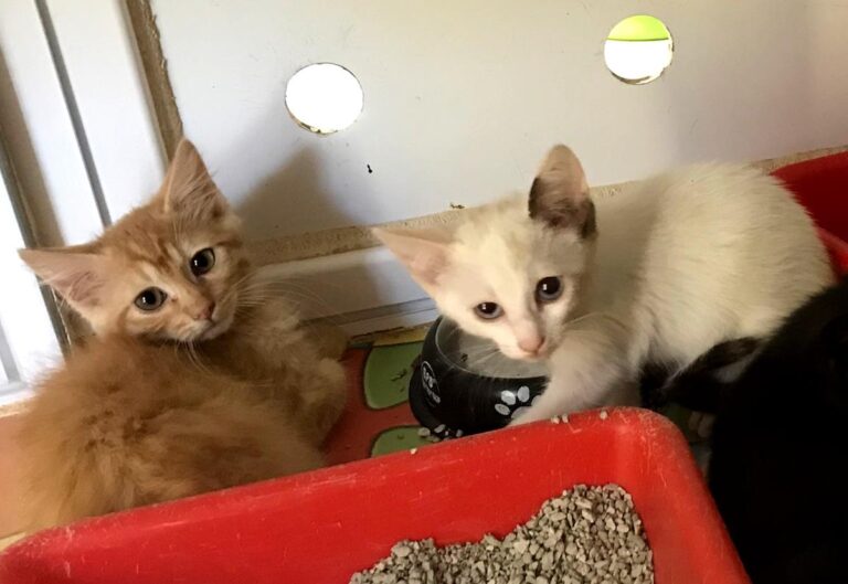 multimedia-foto64987-348-1