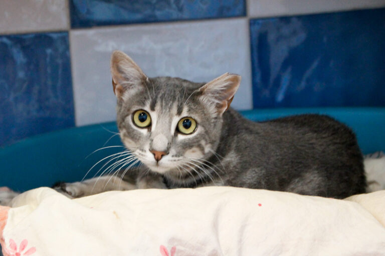 multimedia-foto65011-593-1