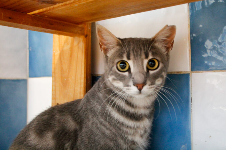 multimedia-foto65013-593-1