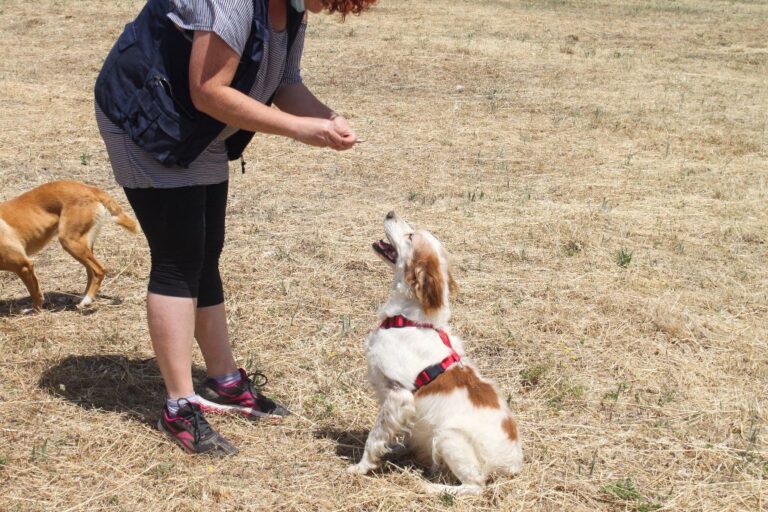 multimedia-foto65025-295-1