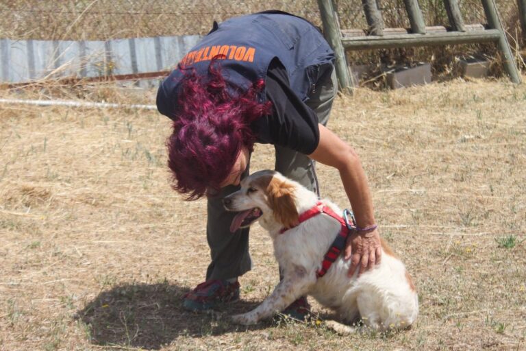 multimedia-foto65026-296-1