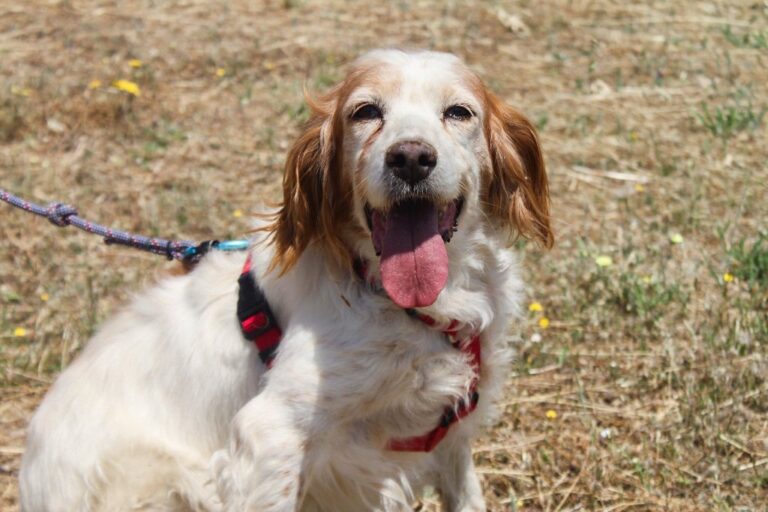 multimedia-foto65027-296-1