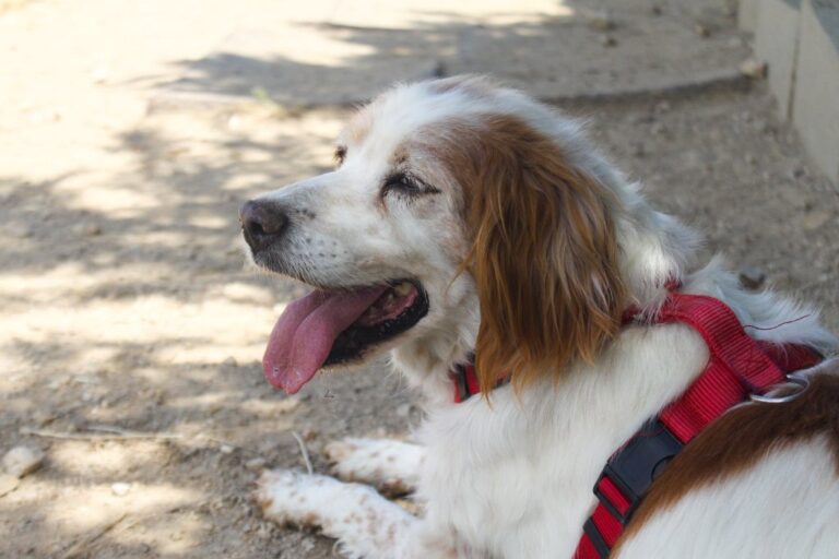 multimedia-foto65028-297-1