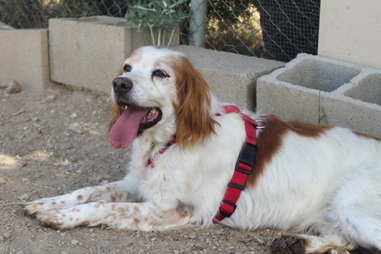 multimedia-foto65029-325-1