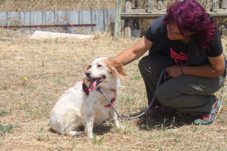 multimedia-foto65030-326-1