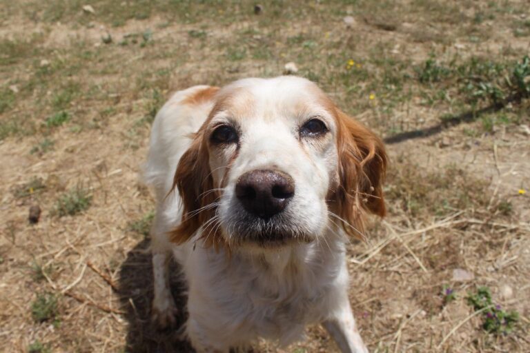 multimedia-foto65031-326-1