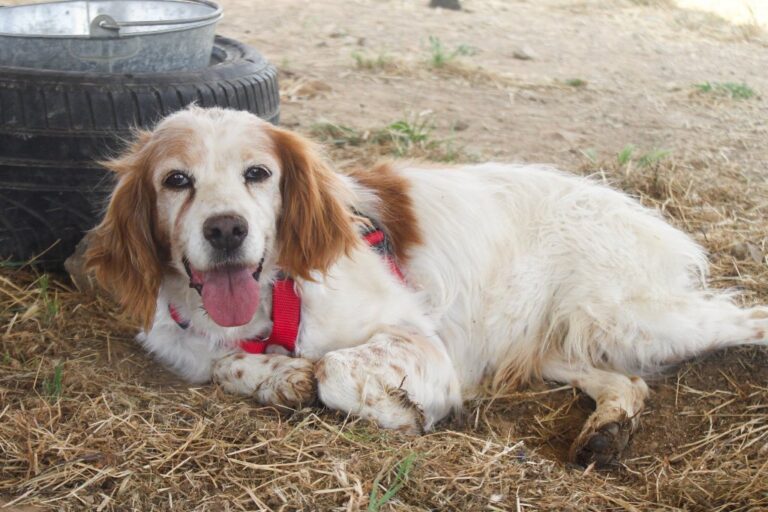 multimedia-foto65032-327-1