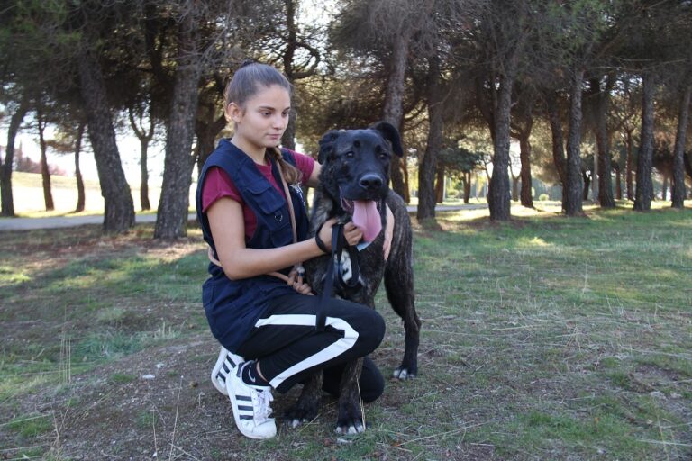 multimedia-foto65033-420-1