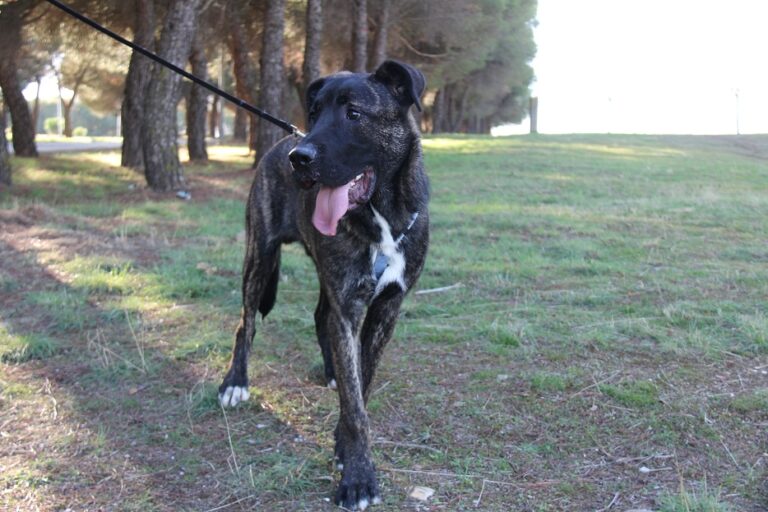 multimedia-foto65034-421-1