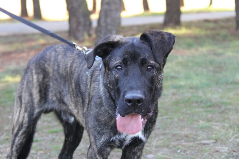 multimedia-foto65035-421-1