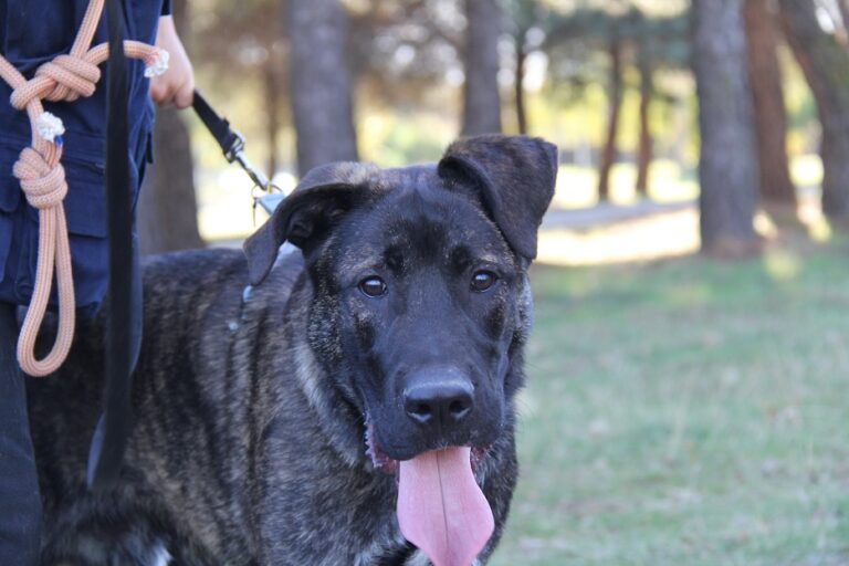 multimedia-foto65036-422-1