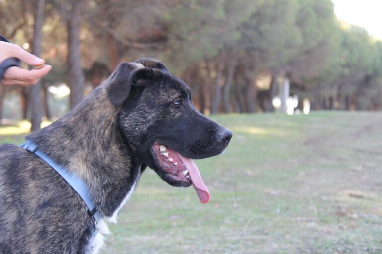 multimedia-foto65038-423-1