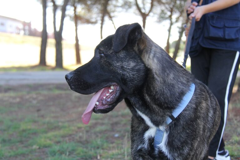 multimedia-foto65039-423-1