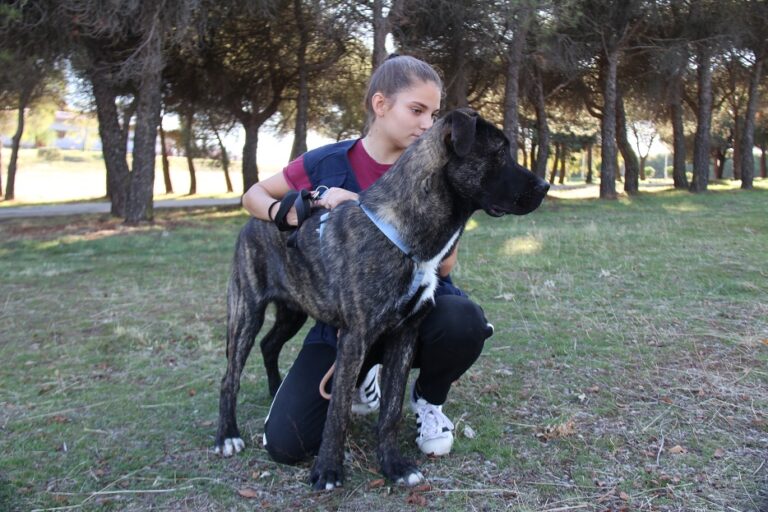 multimedia-foto65040-424-1