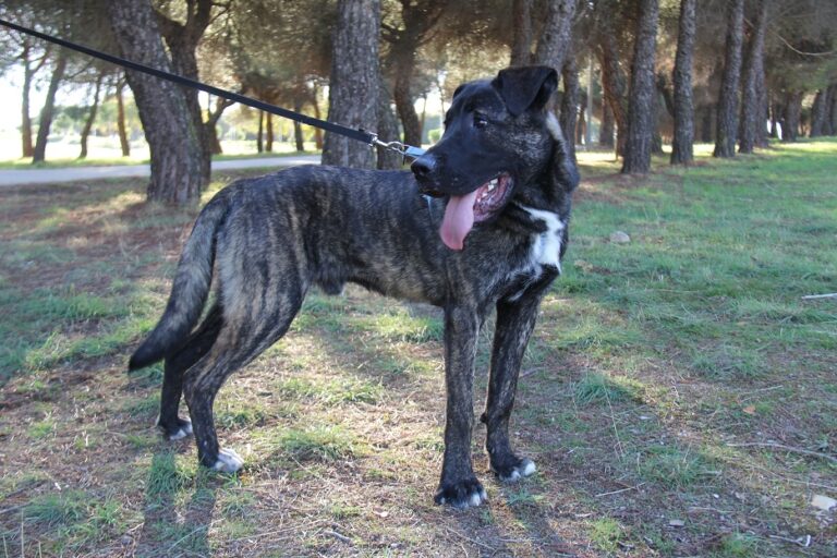 multimedia-foto65041-424-1