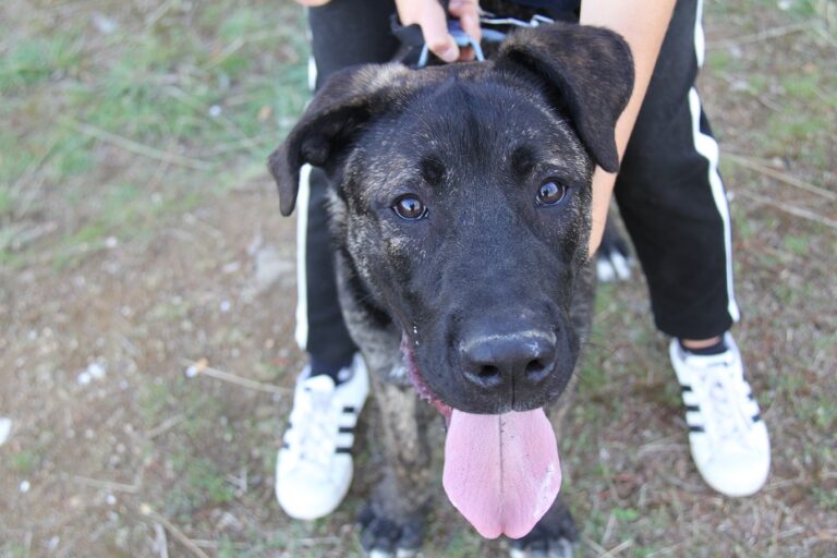 multimedia-foto65042-425-1