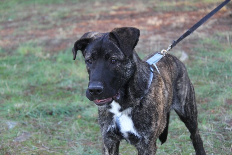 multimedia-foto65043-425-1