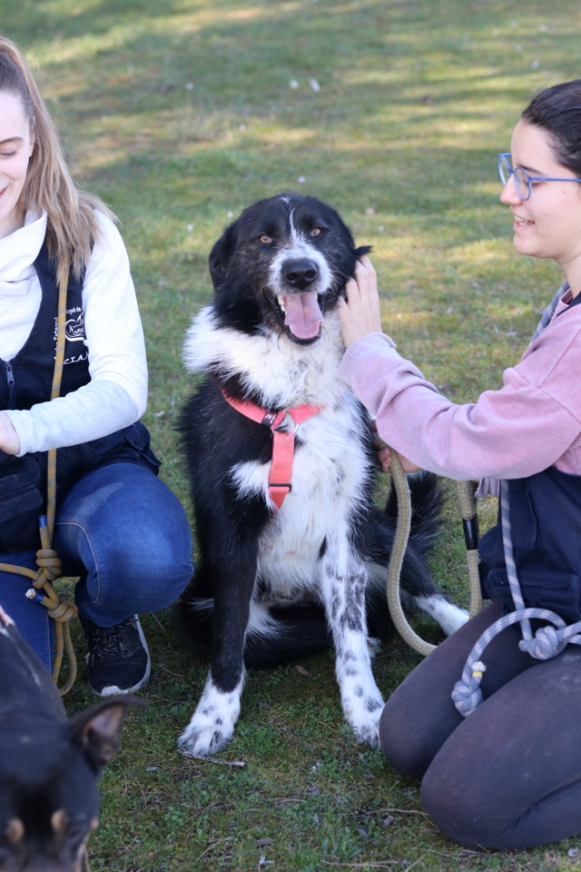 multimedia-foto65049-614-1