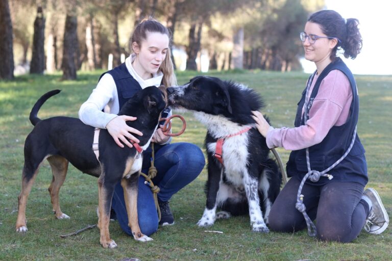 multimedia-foto65050-615-1