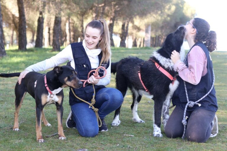 multimedia-foto65051-615-1