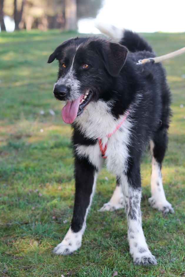 multimedia-foto65053-616-1