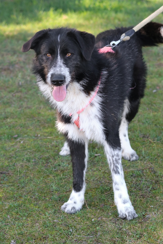 multimedia-foto65054-617-1