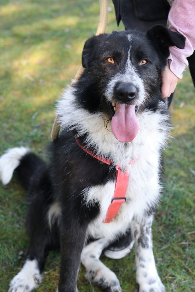 multimedia-foto65055-617-1