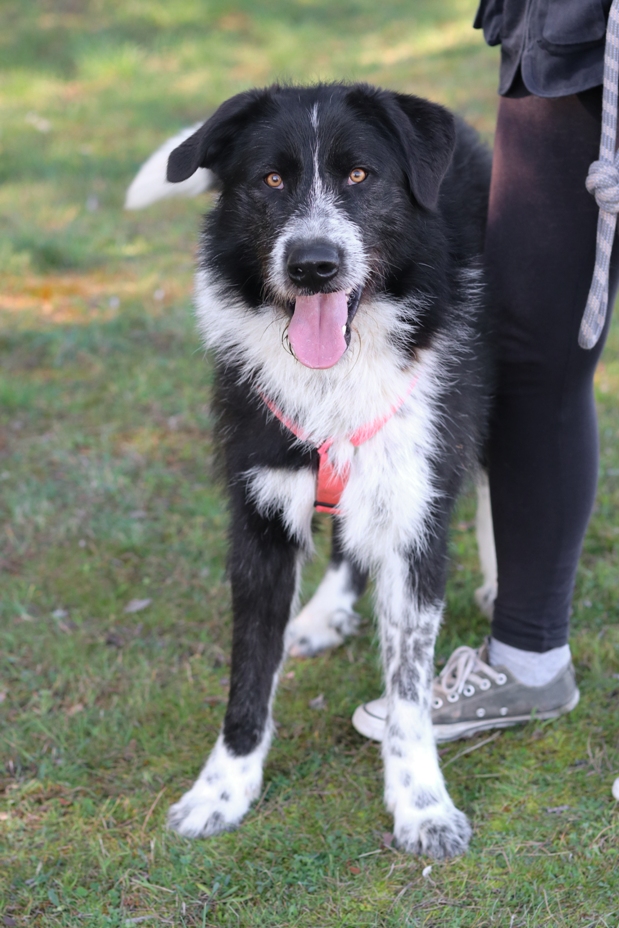 multimedia-foto65056-618-1