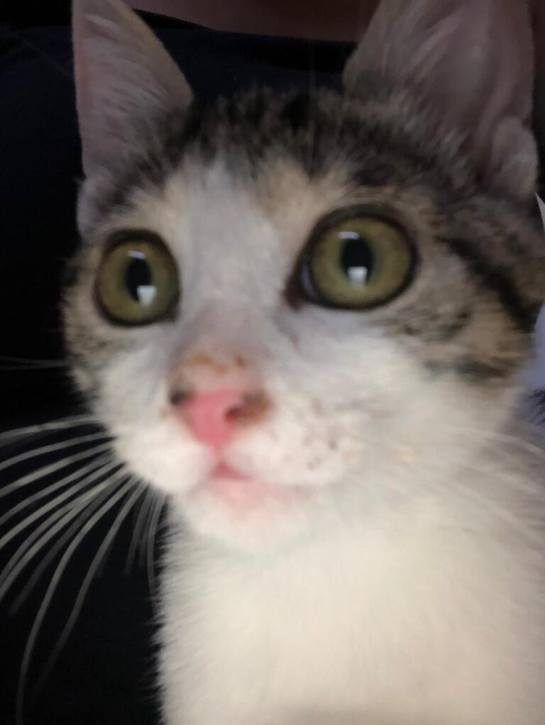 multimedia-foto65080-787-1