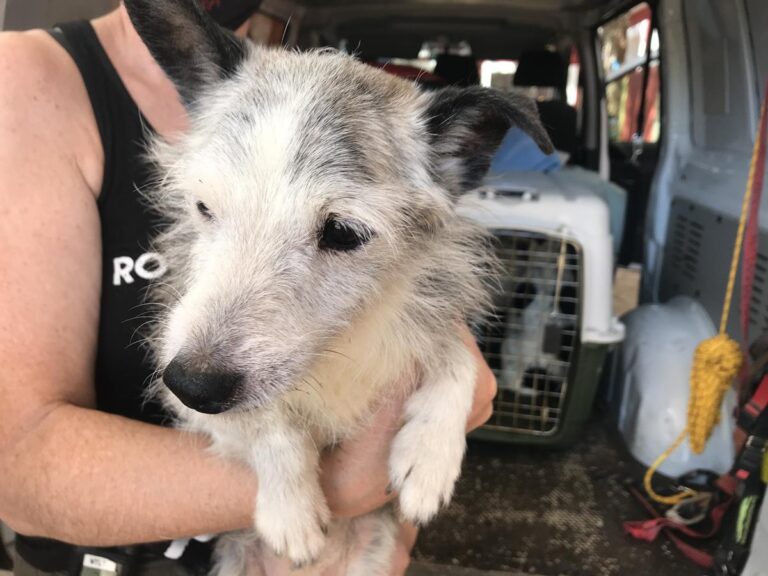 multimedia-foto65162-327-1