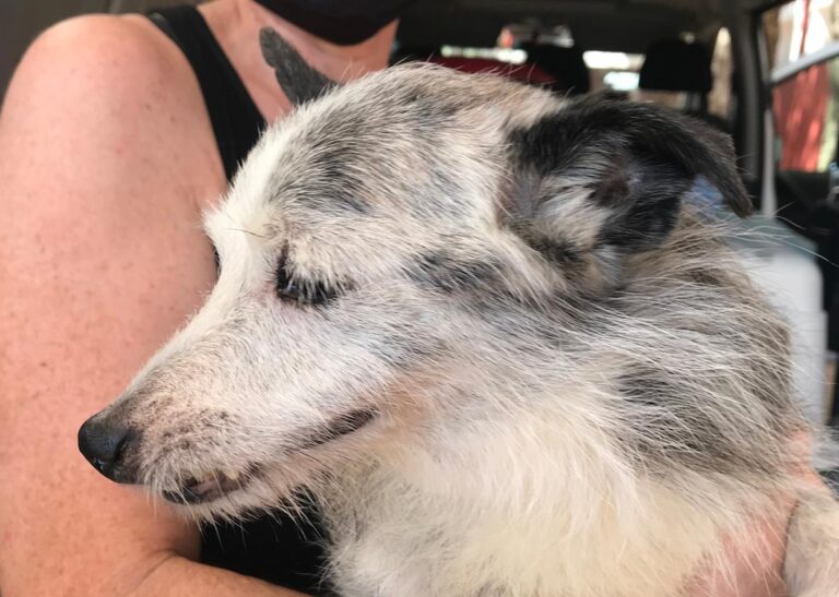 multimedia-foto65163-328-1