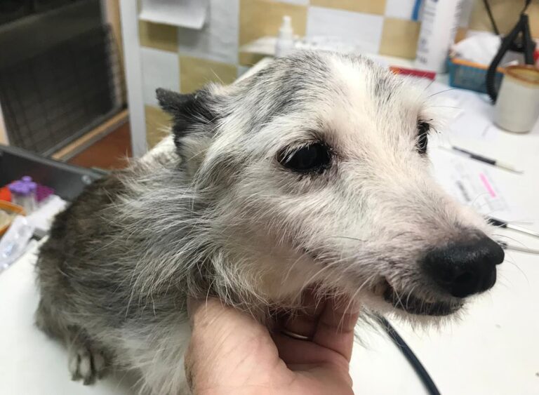 multimedia-foto65164-328-1