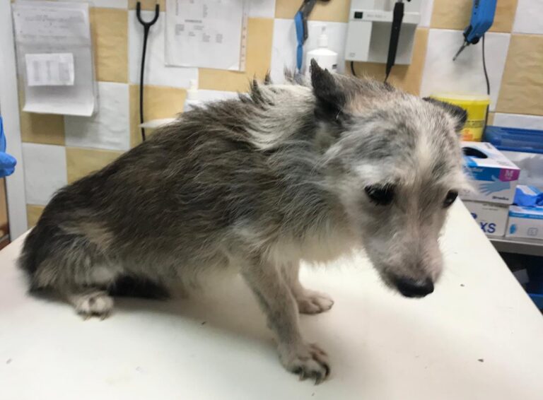 multimedia-foto65165-329-1