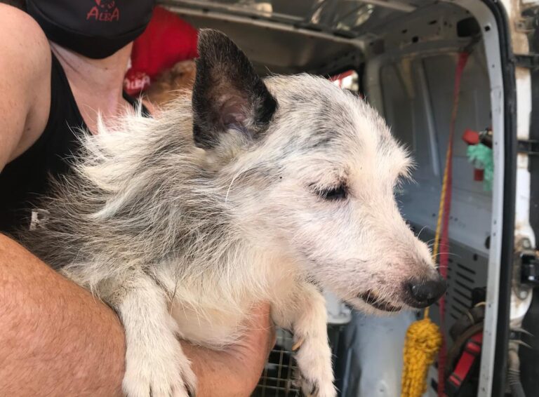 multimedia-foto65166-329-1