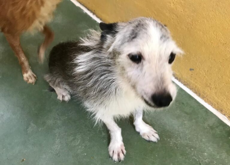 multimedia-foto65167-330-1